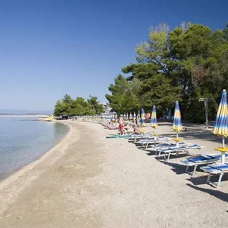 Fina
